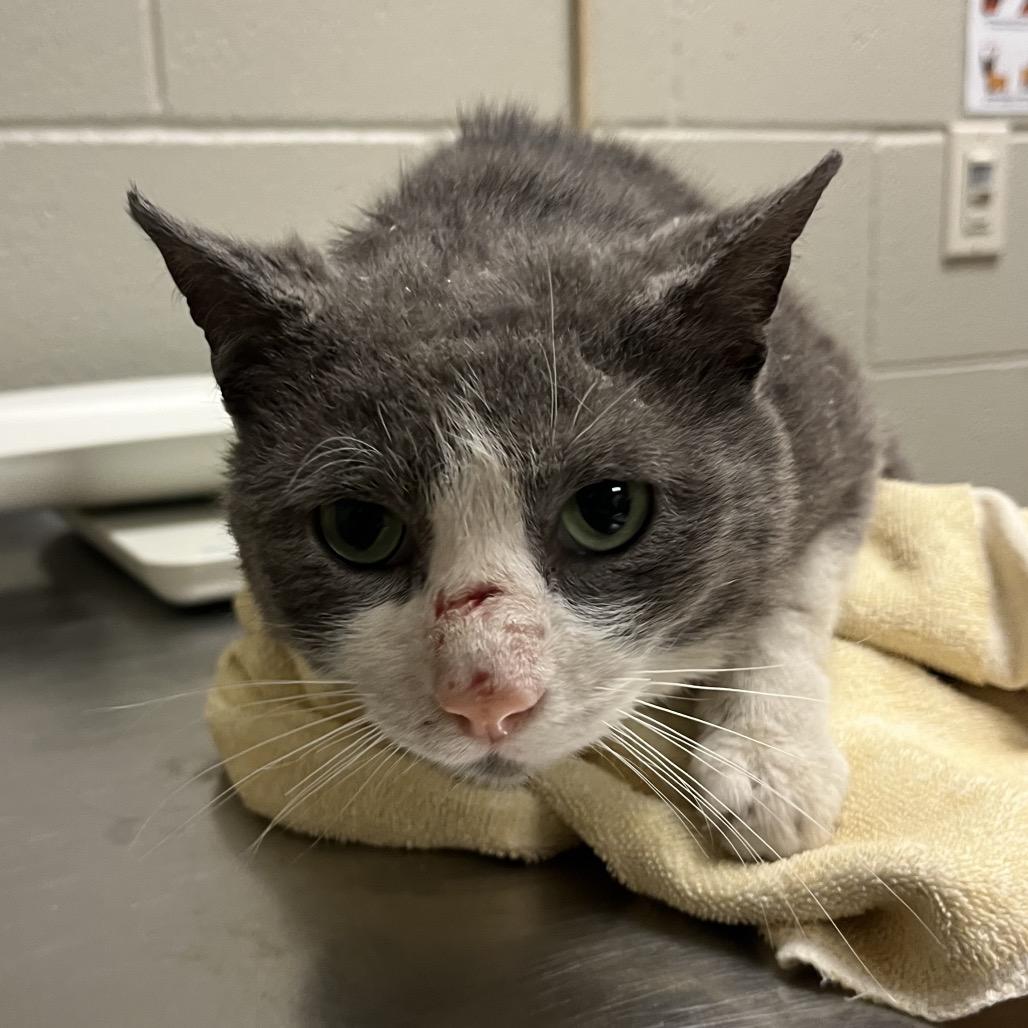 Quentin — thumbnail 3