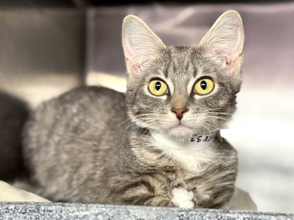 Wisconsin — thumbnail 2