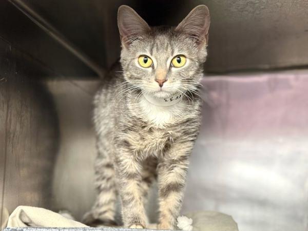 Wisconsin — thumbnail 3