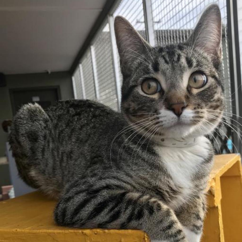 Monster — thumbnail 2