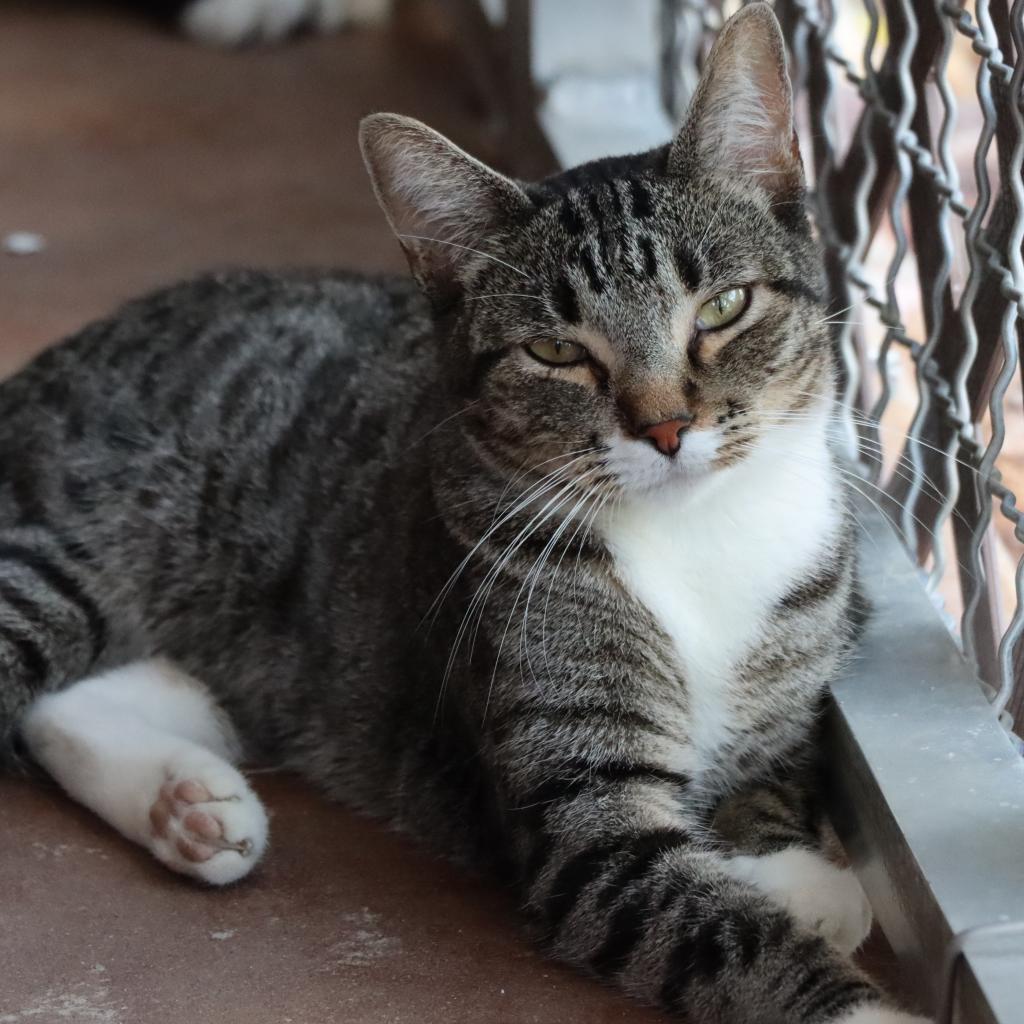 Monster — thumbnail 3