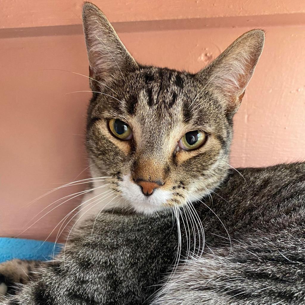 Monster — thumbnail 6