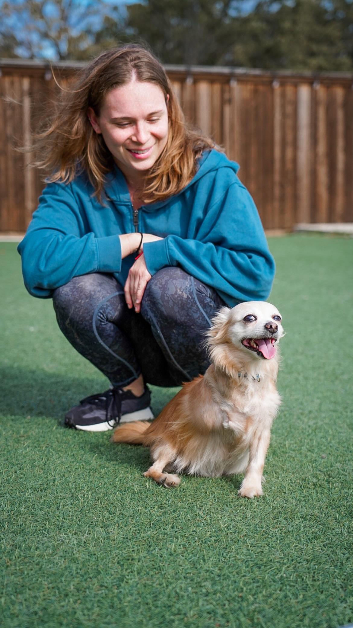 Ernie, a Adopted Chihuahua in Mckinney, TX image 3/6
