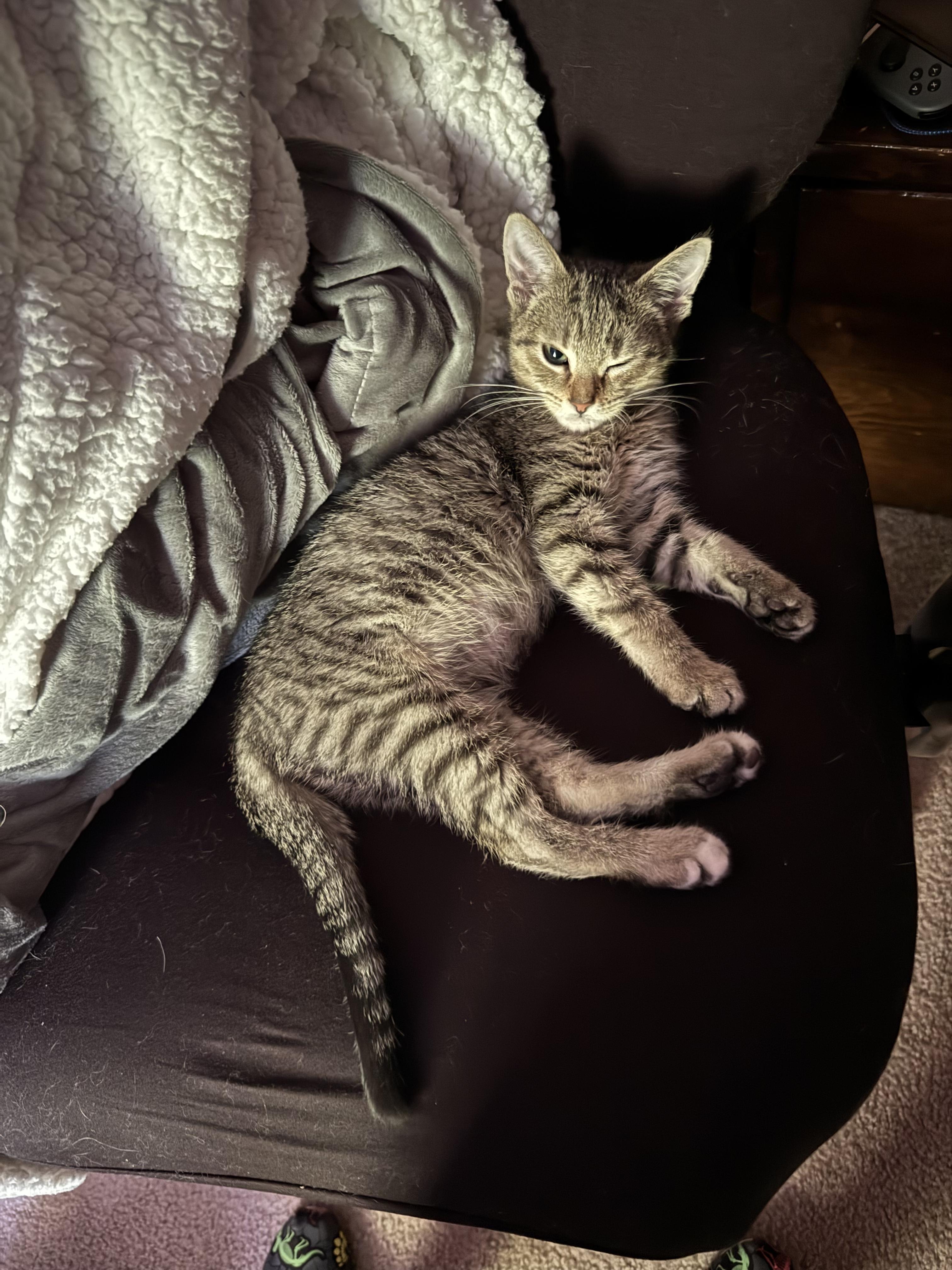 Luigi photo 2