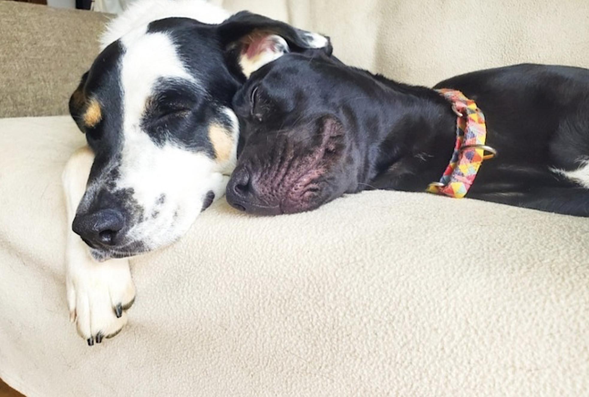 Tula Baloola — thumbnail 4