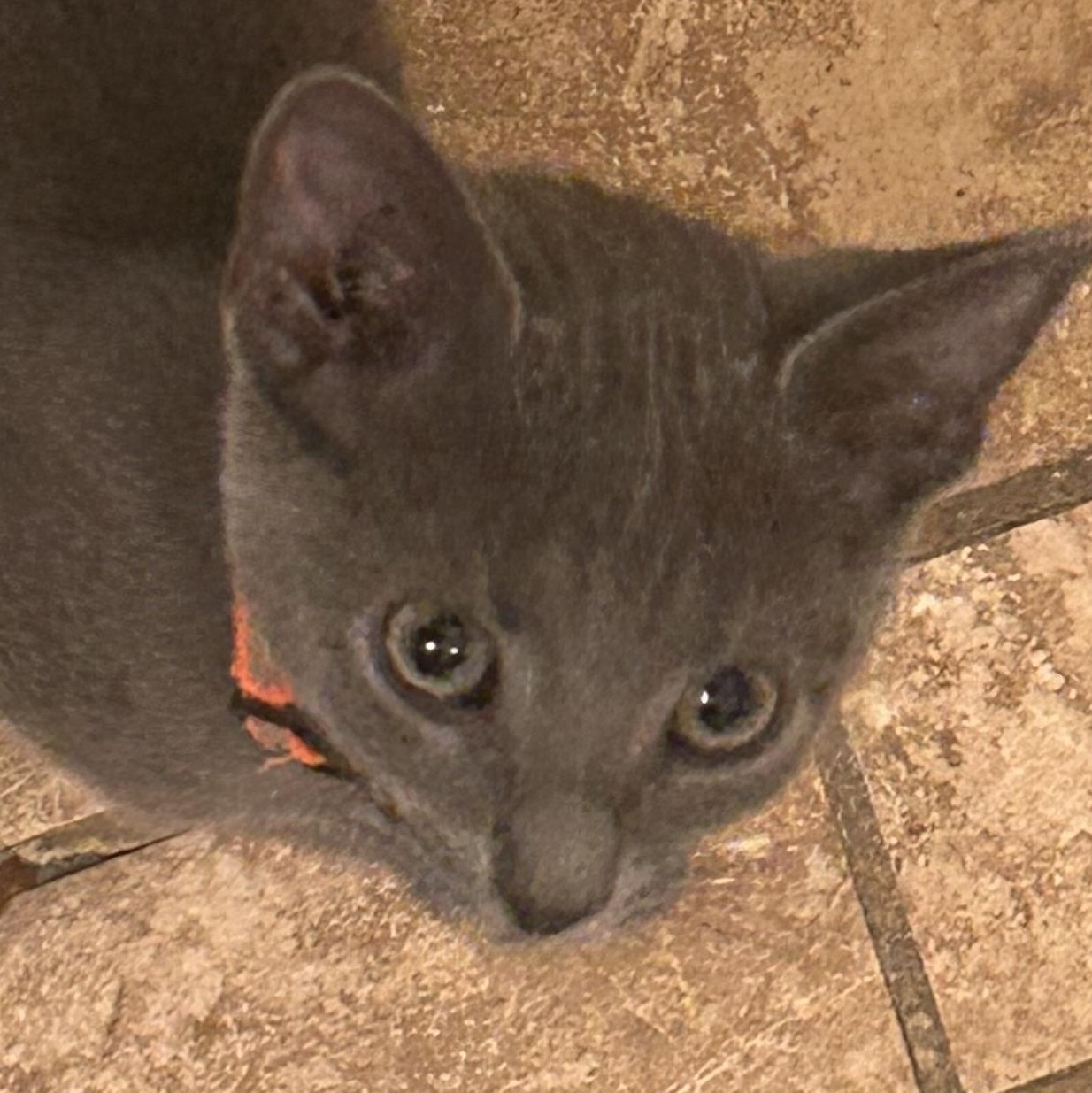 Smithers thumbnail 2