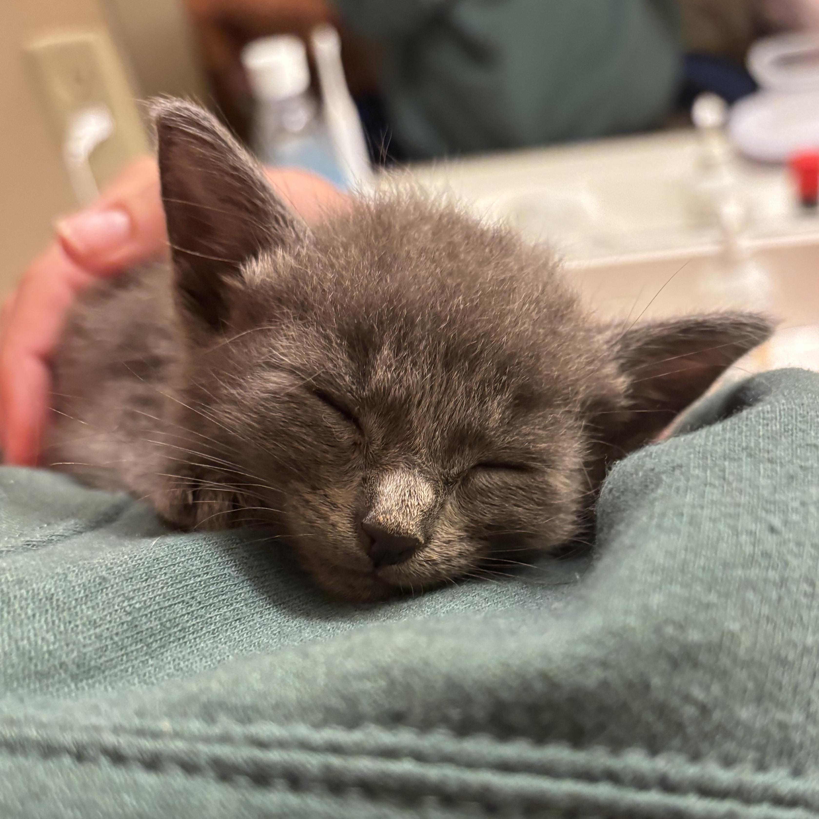 Smithers thumbnail 3