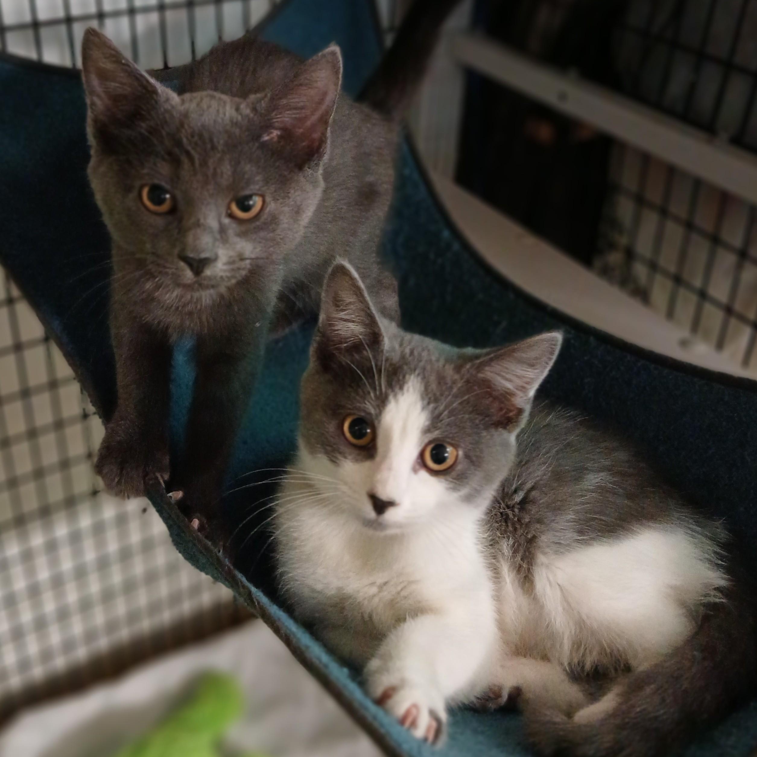 Expo-bonded with Jansport