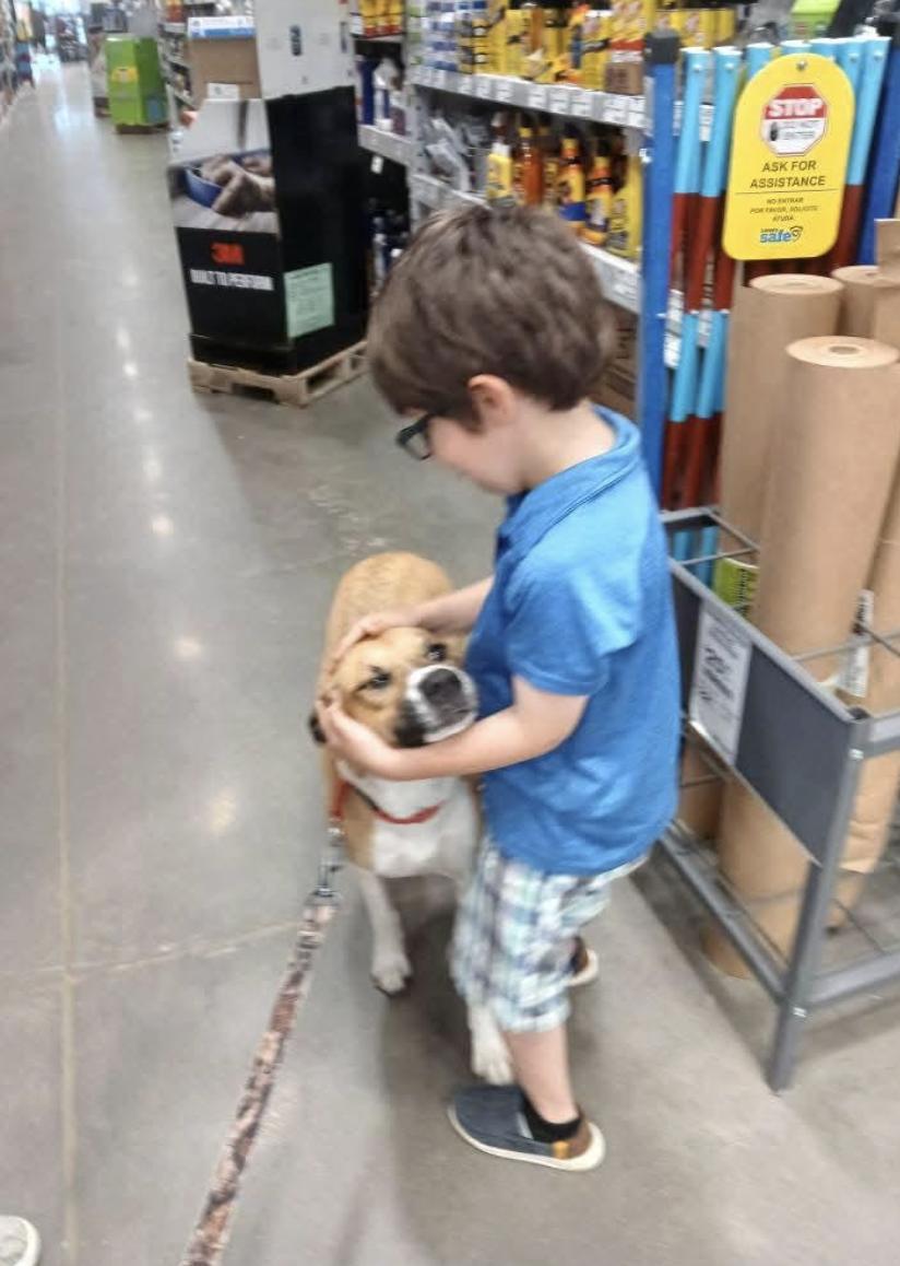 Saffron — thumbnail 5