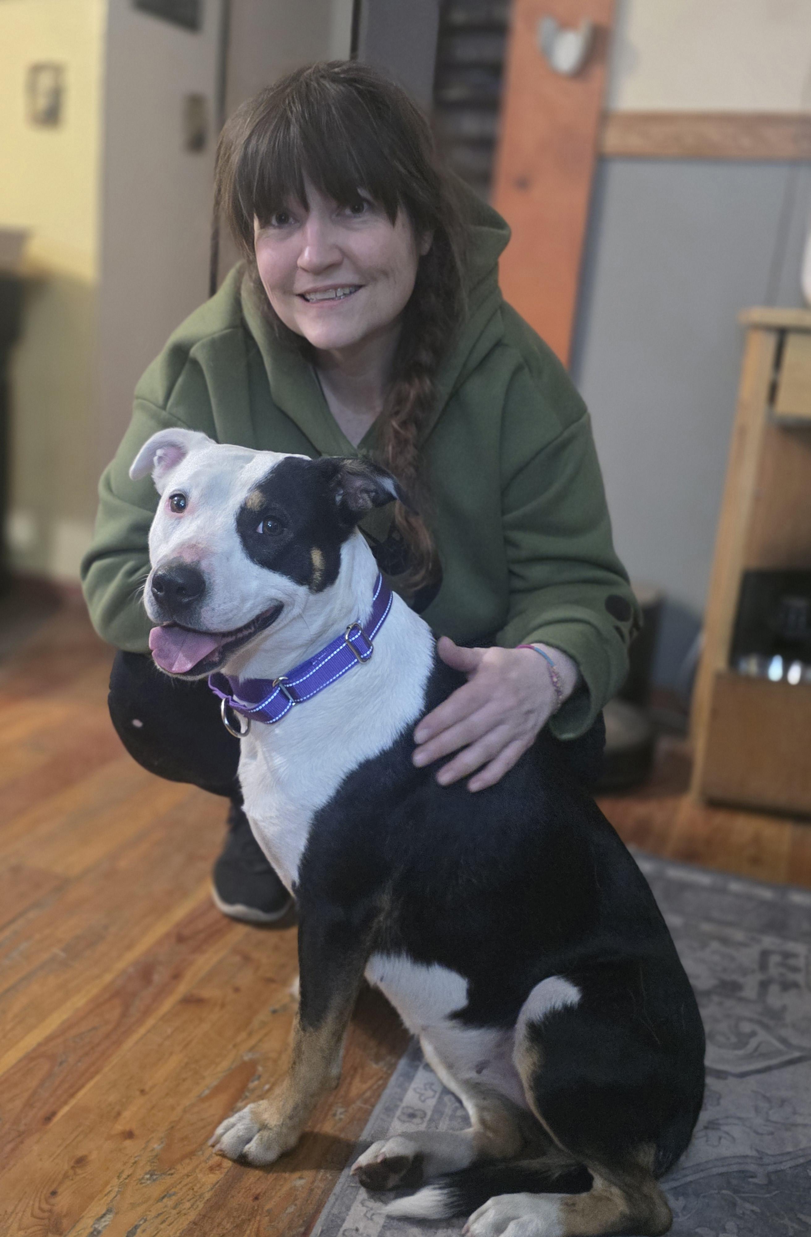 Enlarge Patience, a Adopted Pit Bull Terrier in Elk, WA image 1/6