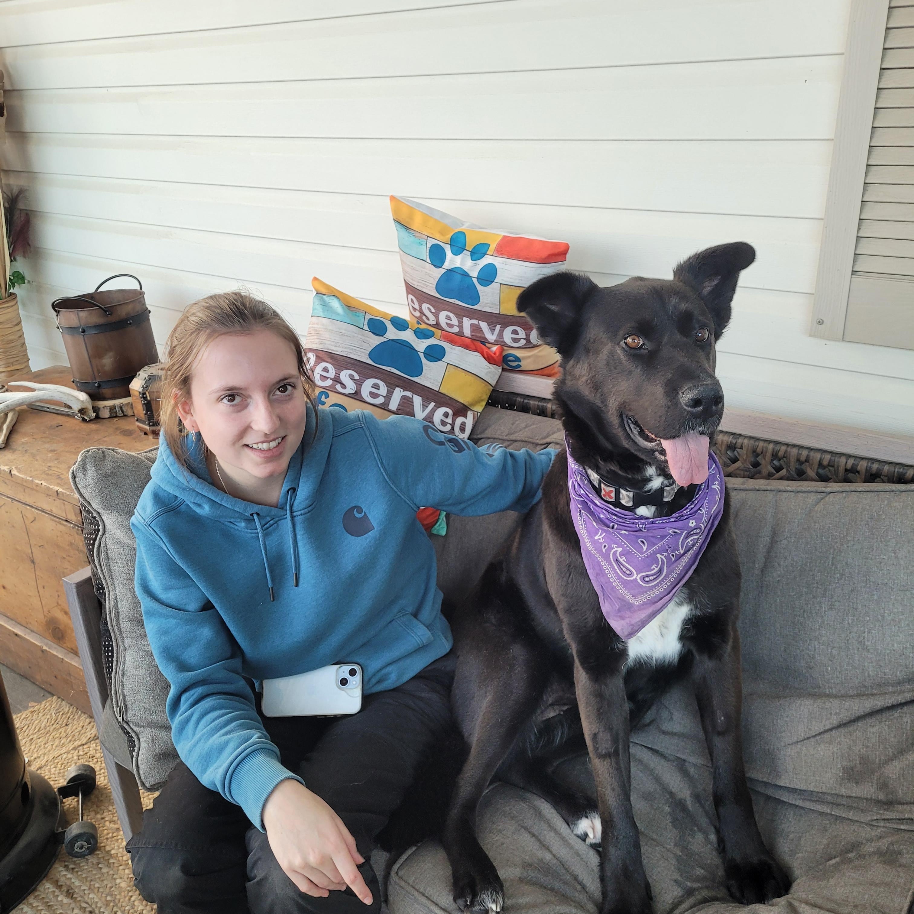 Enlarge Shadow, a Adoptable mixed breed in Lacombe, AB image 1/4