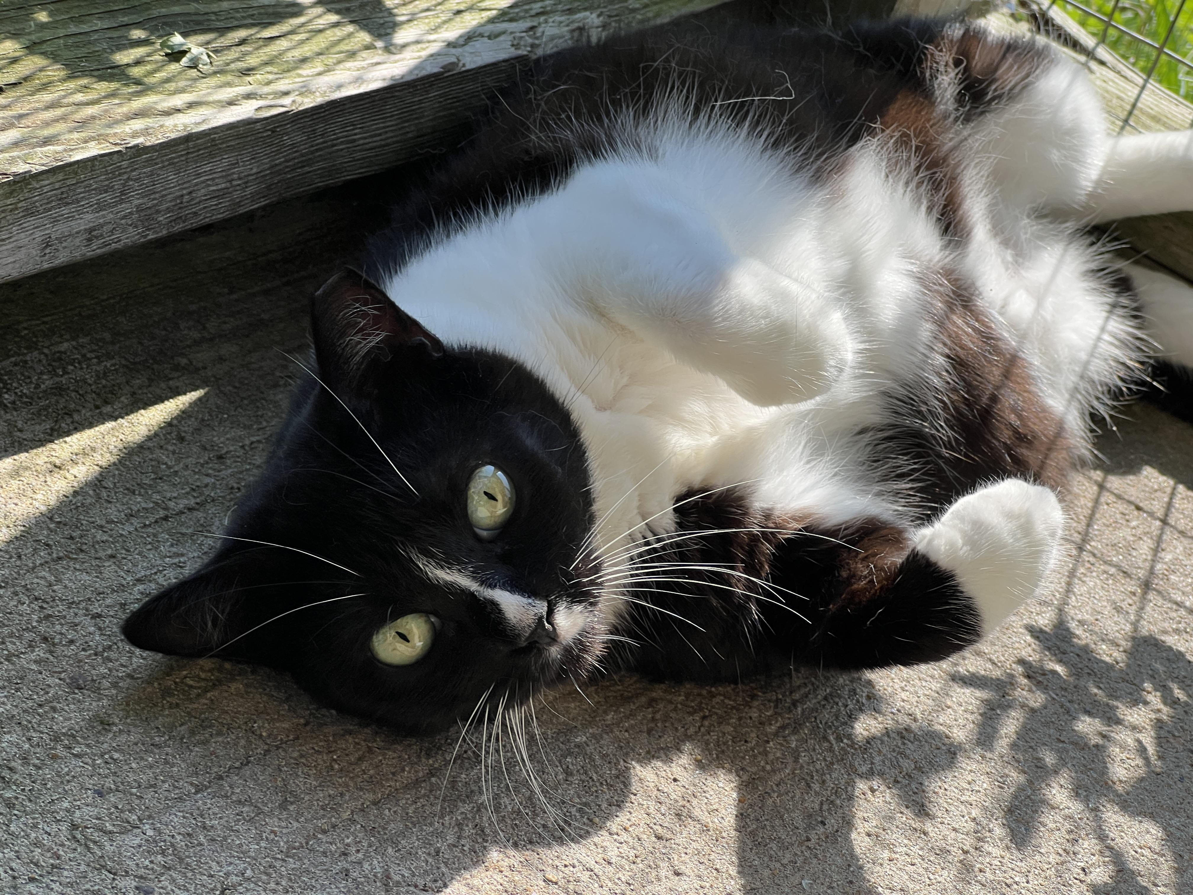 Sally photo