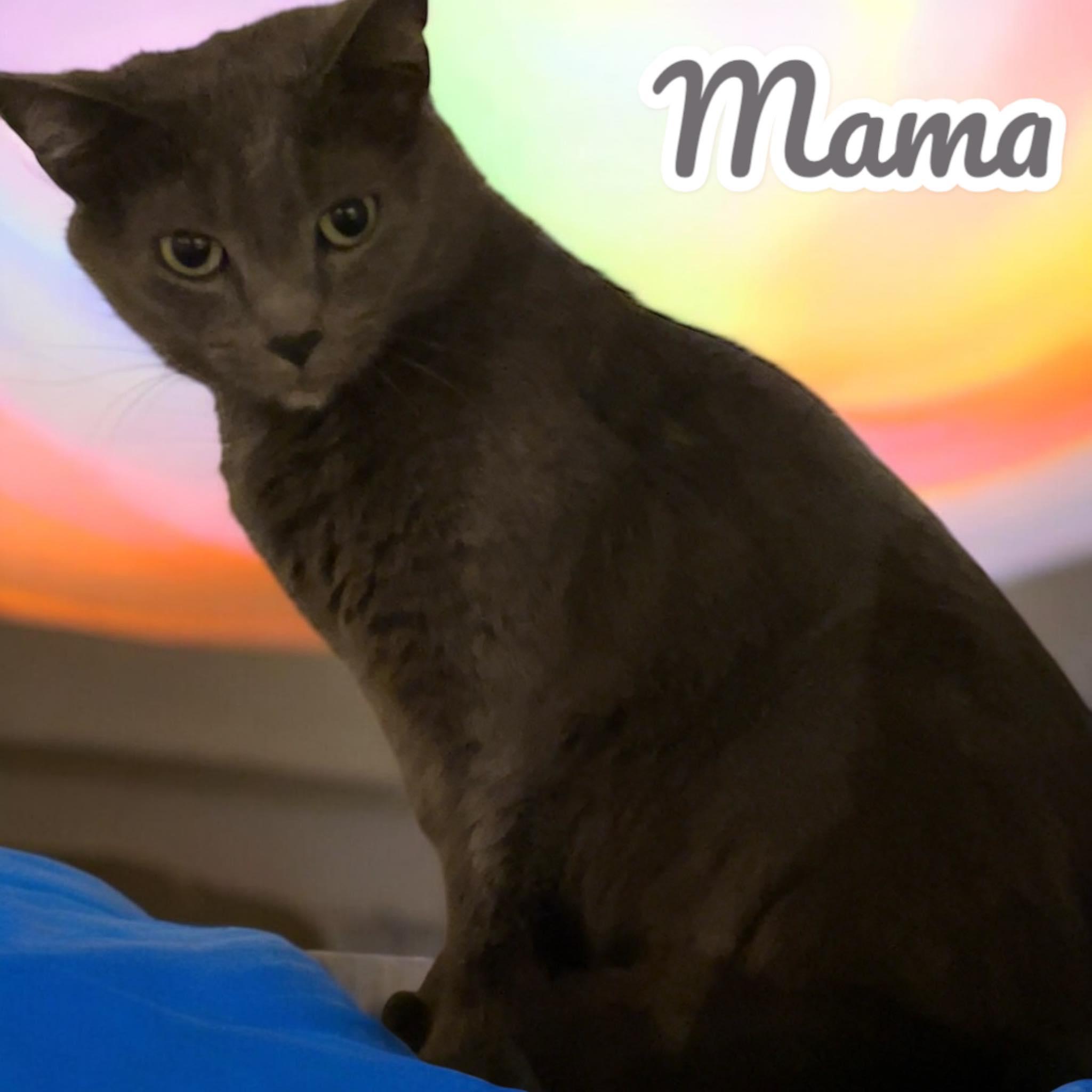 Mama  Nj thumbnail 2