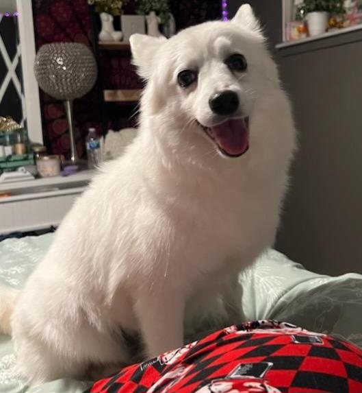 Lizzie  St. Louis thumbnail 3