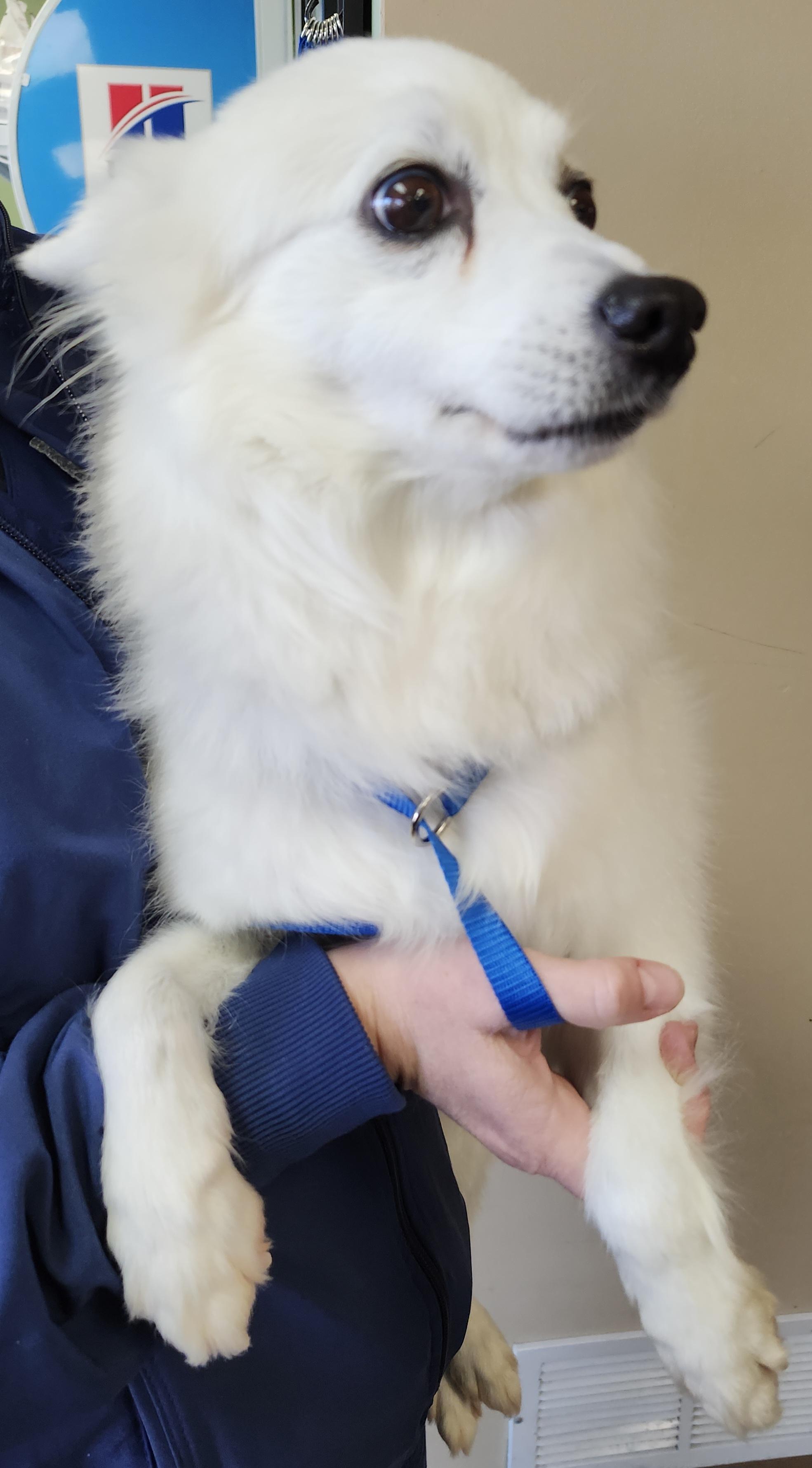 Lizzie  St. Louis thumbnail 4