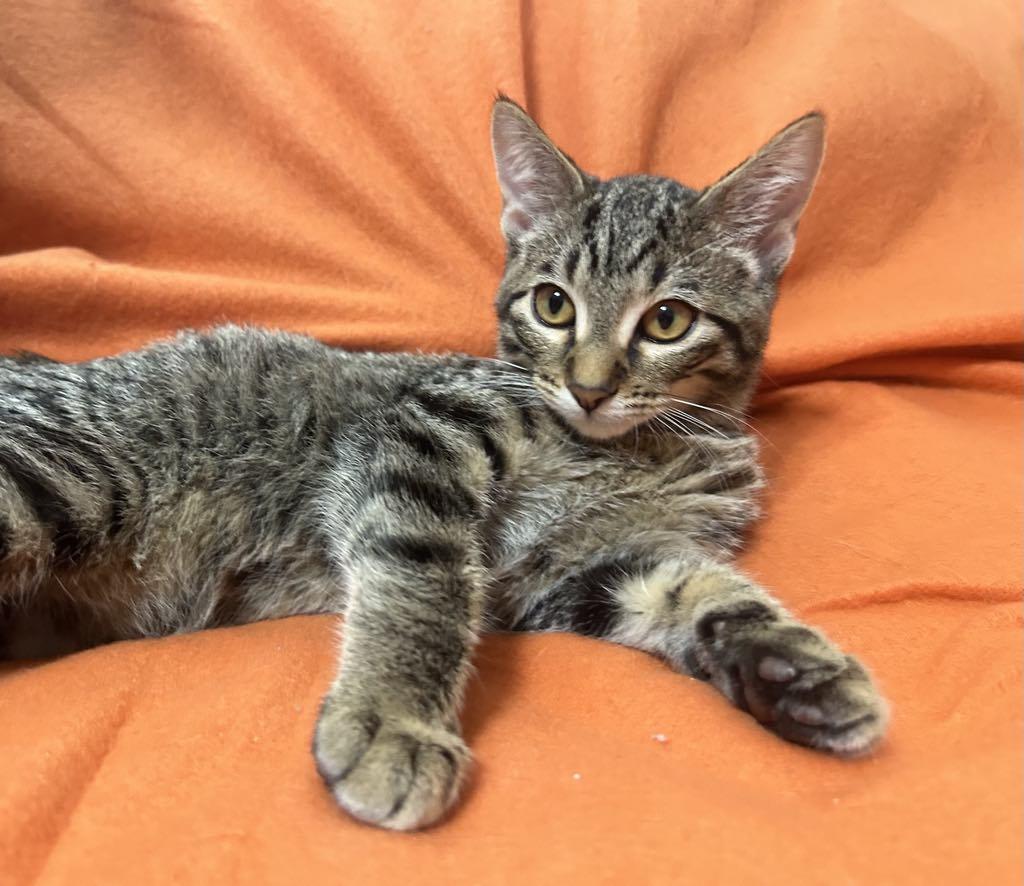 Legend — thumbnail 3