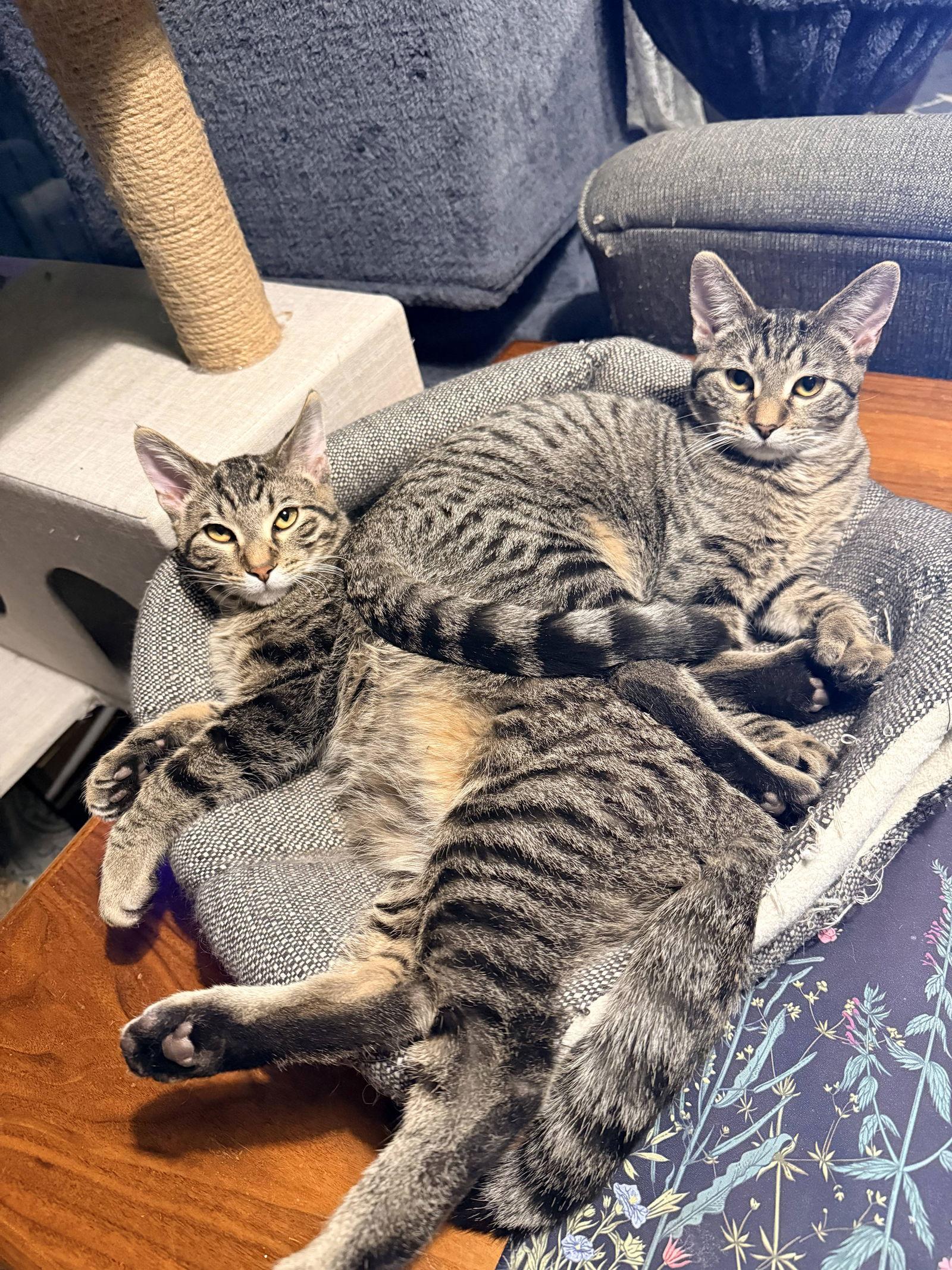 Legend — thumbnail 4