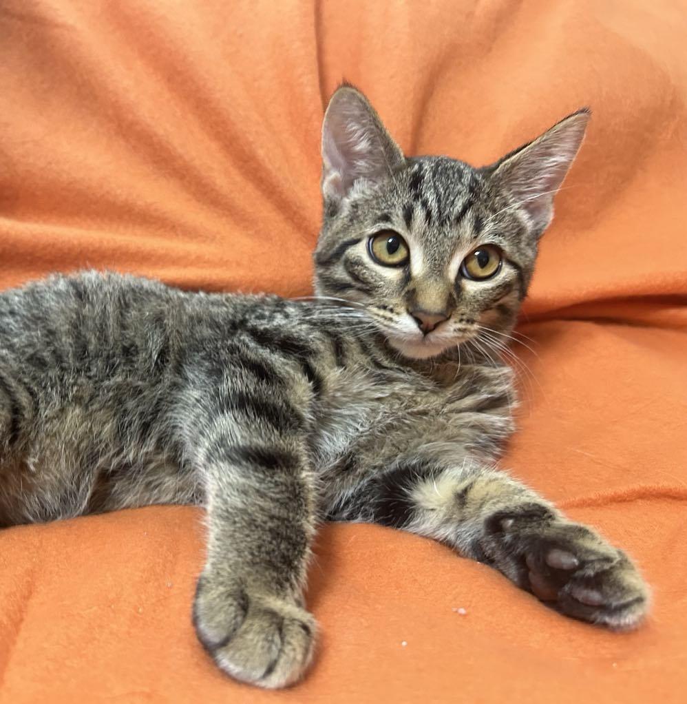 Legend — thumbnail 5