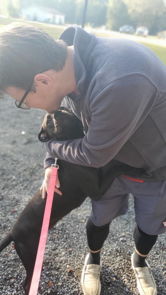 Arya, a Adoptable mixed breed in Hartsville, SC image 2/6