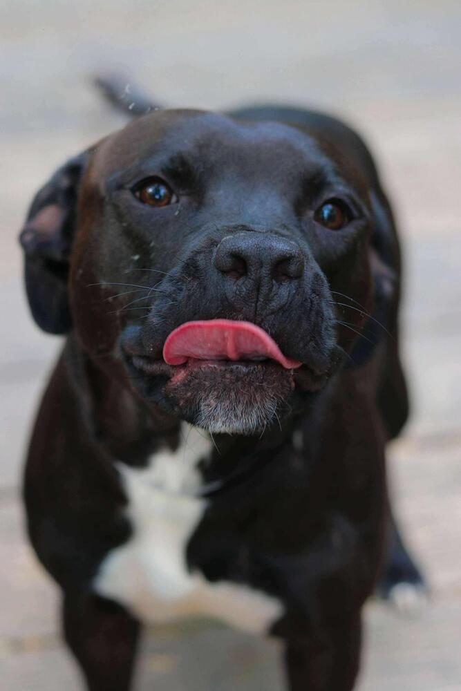 Ezra Bridger thumbnail 2