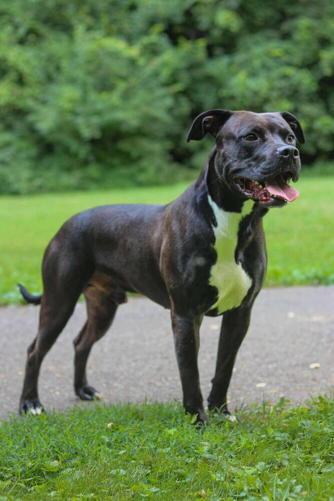 Ezra Bridger thumbnail 5