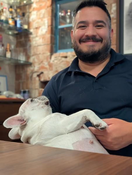 Enlarge Opal, a ADOPTABLE French Bulldog in Casa Grande, AZ image 6/6