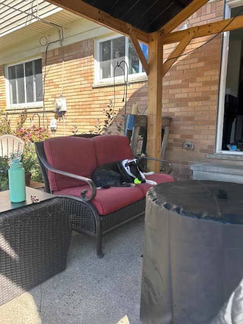 Pollicis thumbnail 5