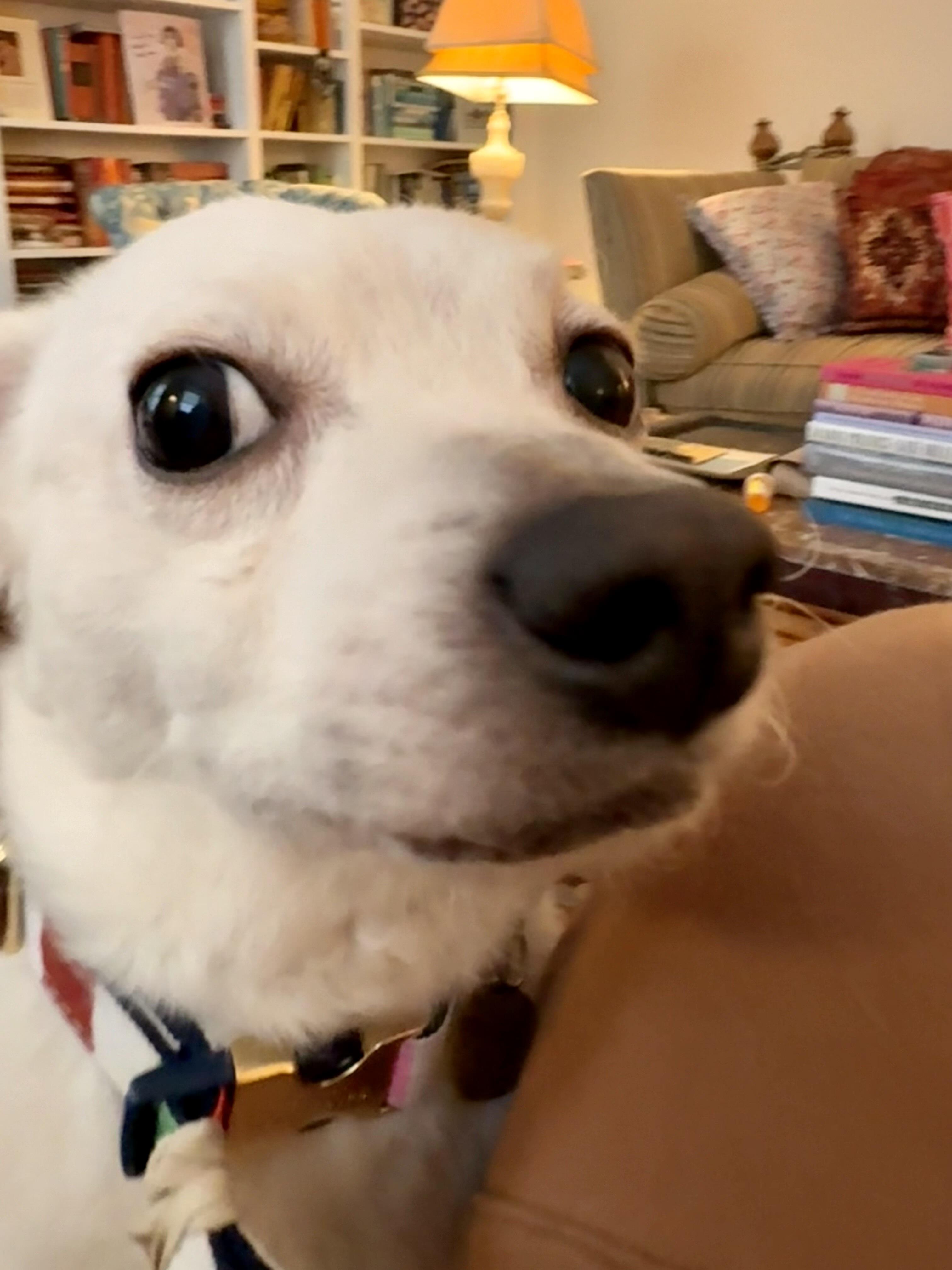 Coco
