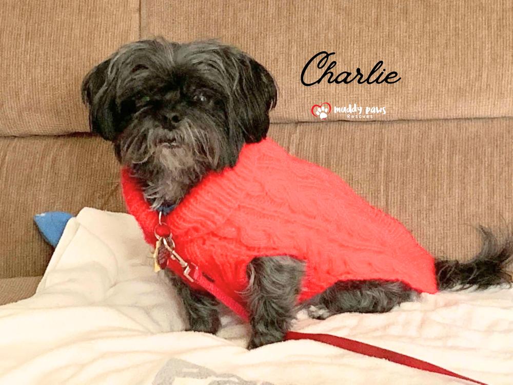 Charlie photo