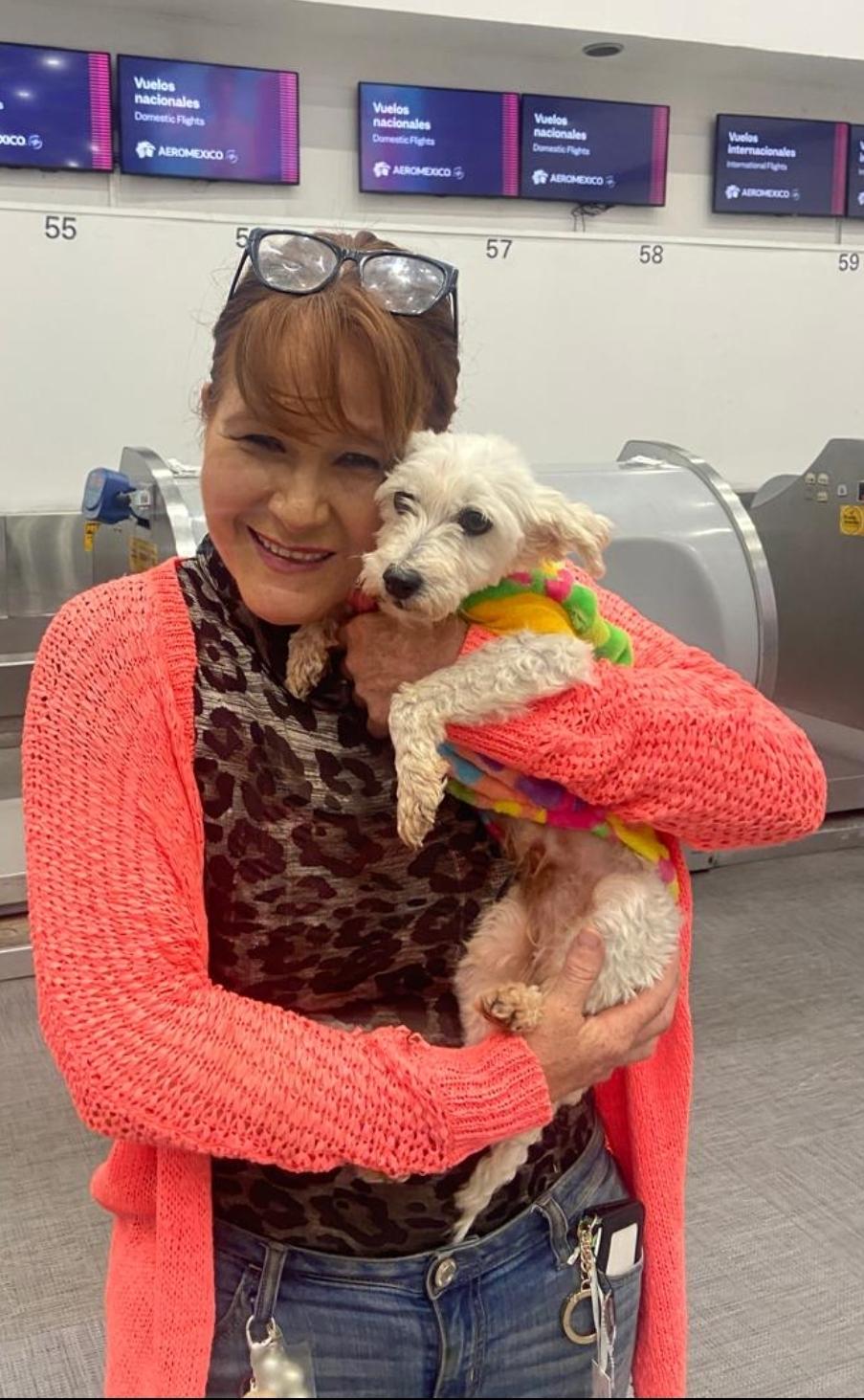 Enlarge Bambie with an "e", a ADOPTABLE mixed breed in Toronto, ON image 1/6