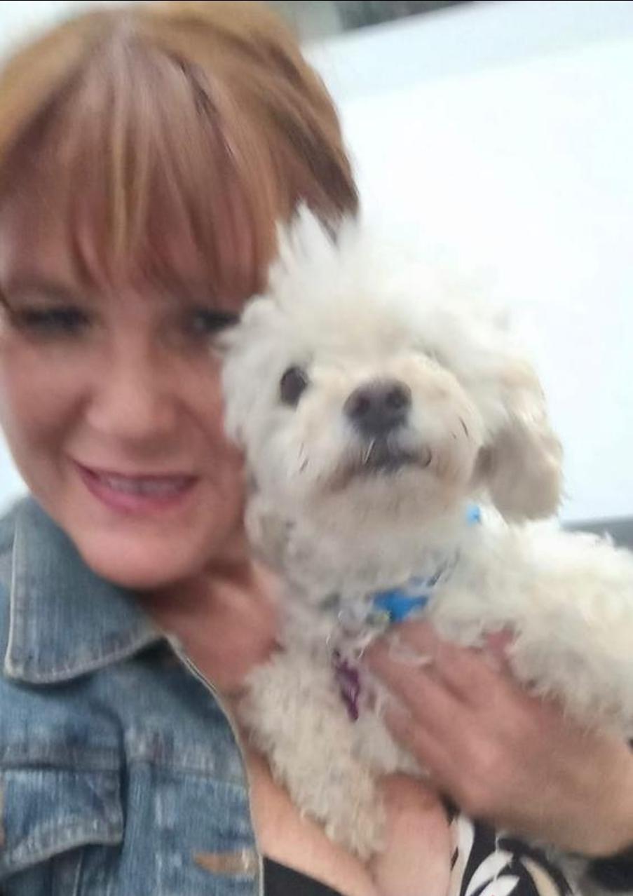 Enlarge Bambie with an "e", a ADOPTABLE mixed breed in Toronto, ON image 4/6