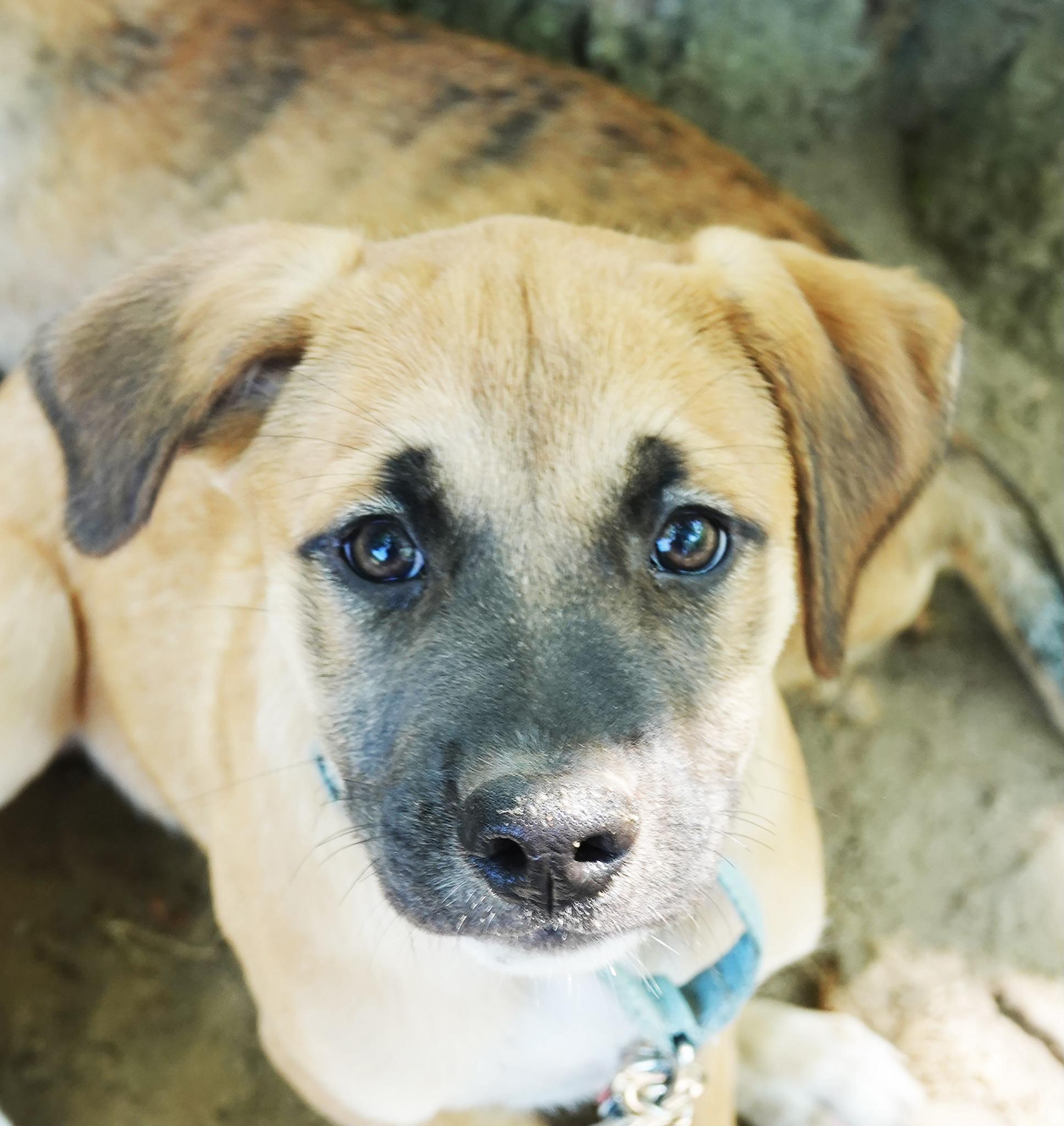 Mary (IN TRIAL ADOPTION)