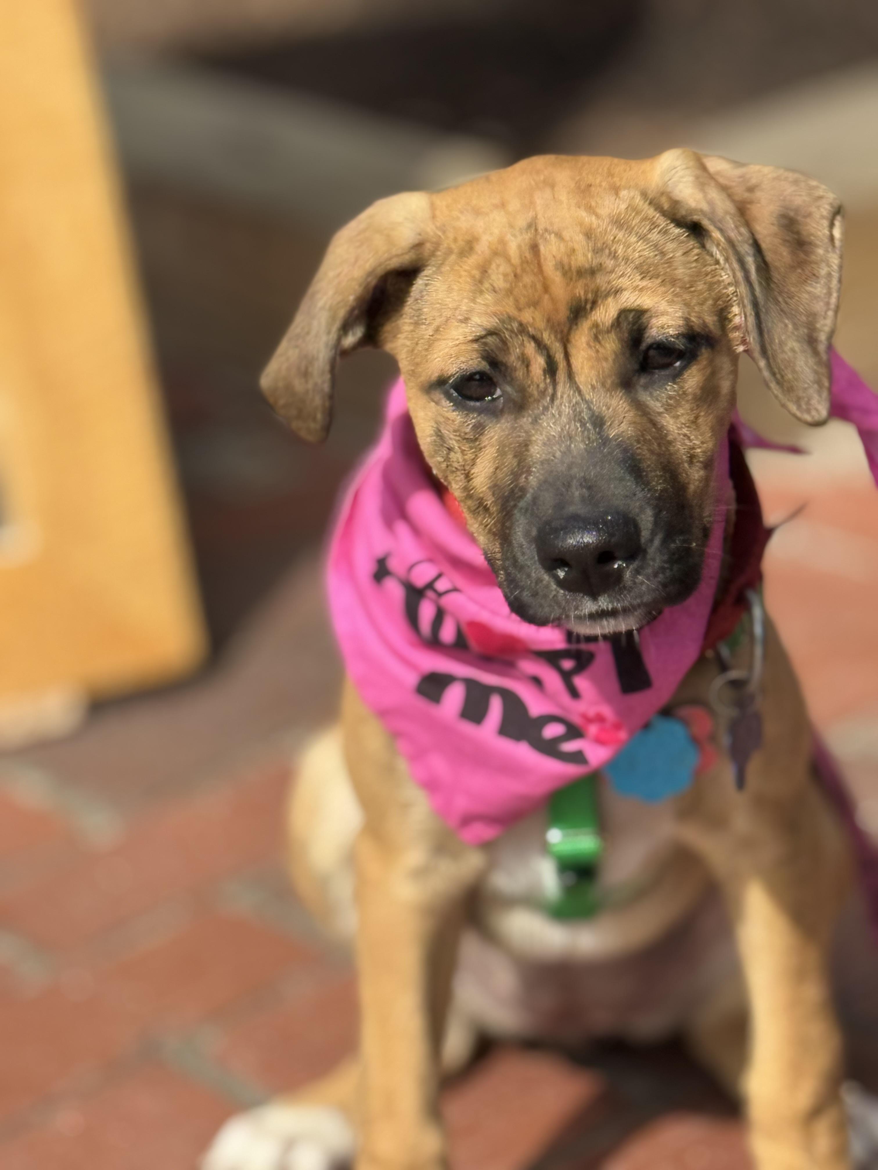 Mary (IN TRIAL ADOPTION)