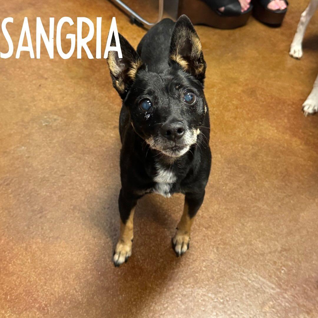 Sangria