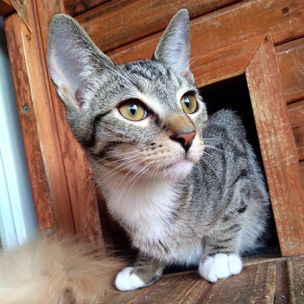 Paul McCartney — thumbnail 3