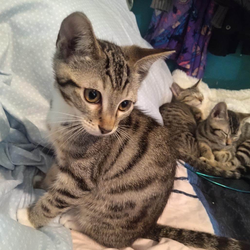 Paul McCartney — thumbnail 4