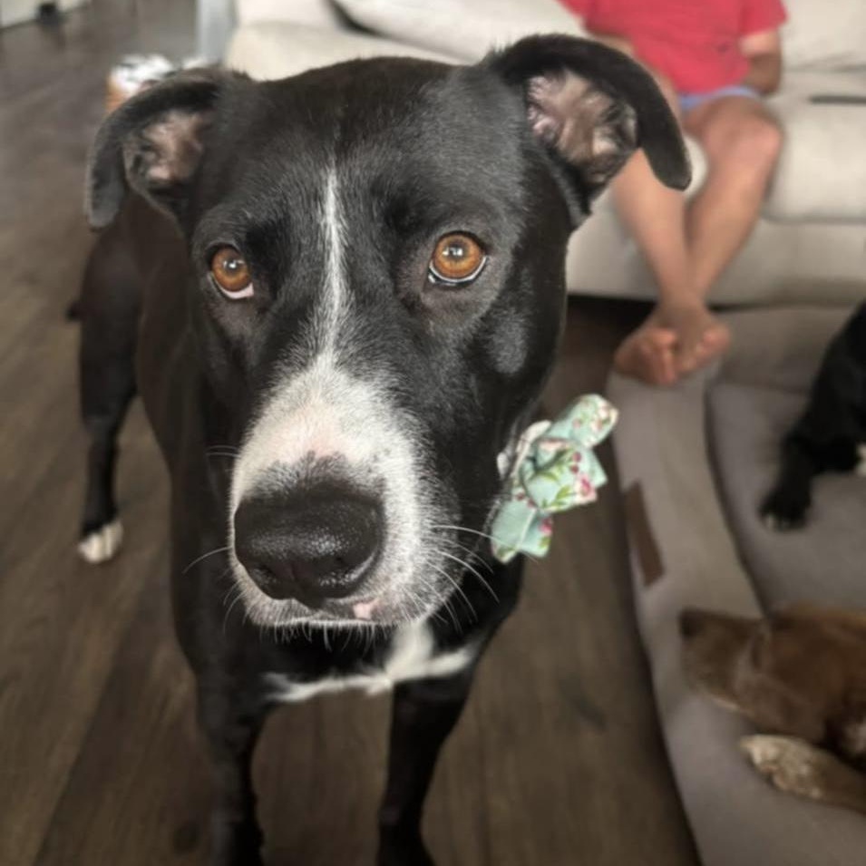 Nina — thumbnail 2