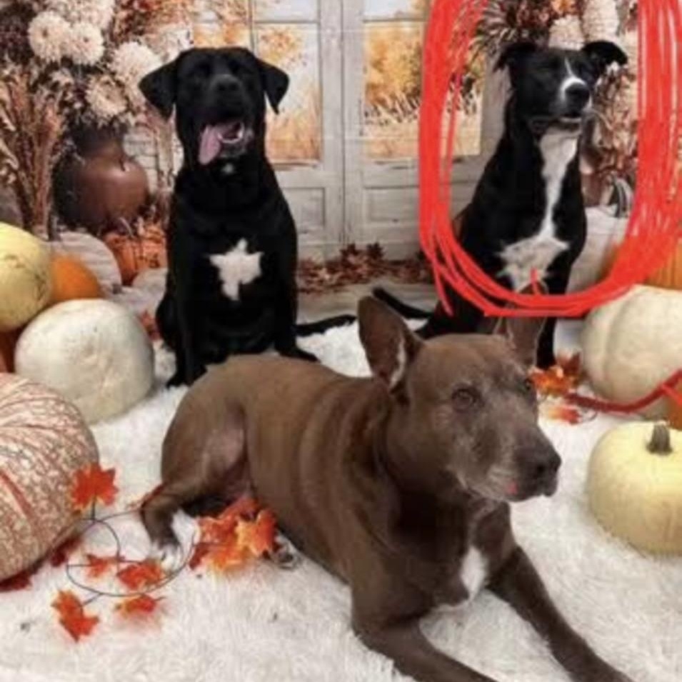 Nina — thumbnail 4