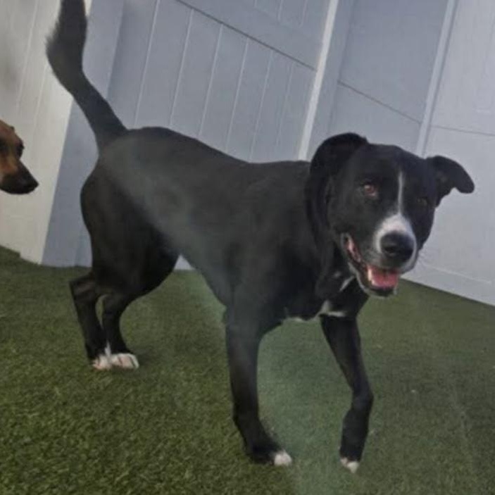 Nina — thumbnail 6