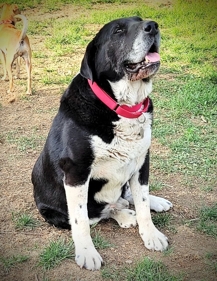 CALLAHAN photo 3