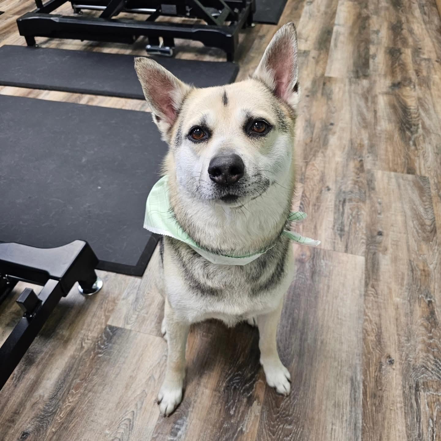 Crypt — thumbnail 2