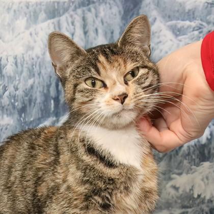 Annabella — thumbnail 3