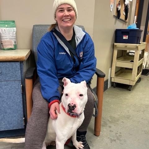 Betty , a ADOPTABLE mixed breed in Buffalo, NY image 5/6