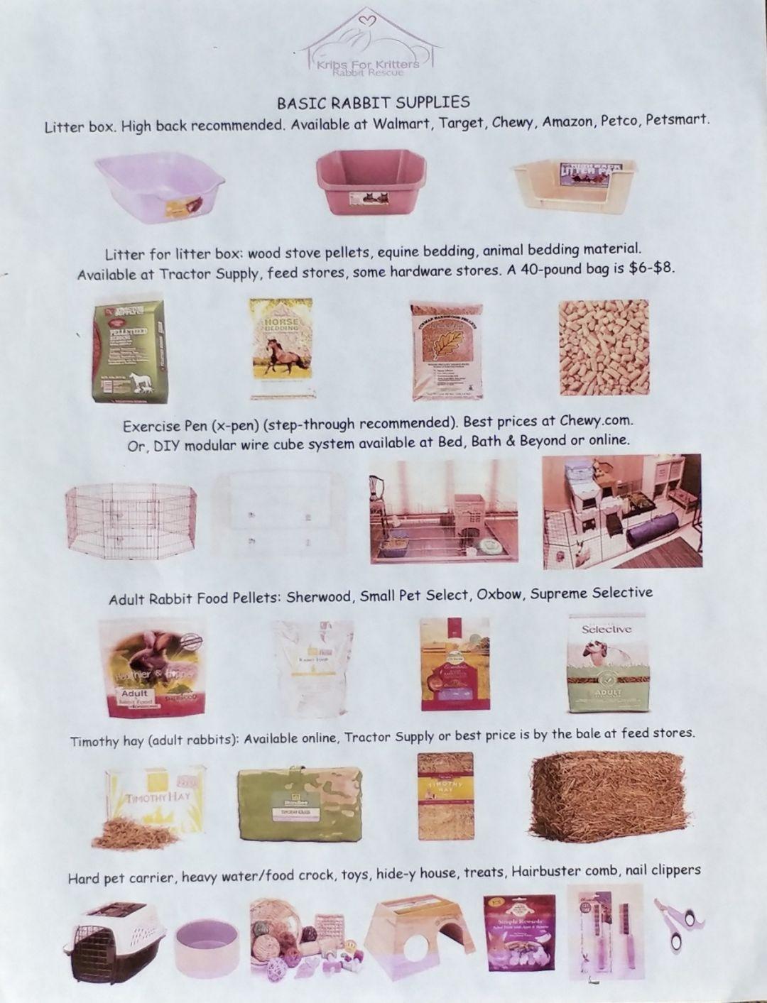 Enlarge Duchess , an adopted Dutch in Lake Elsinore, CA image 3/6