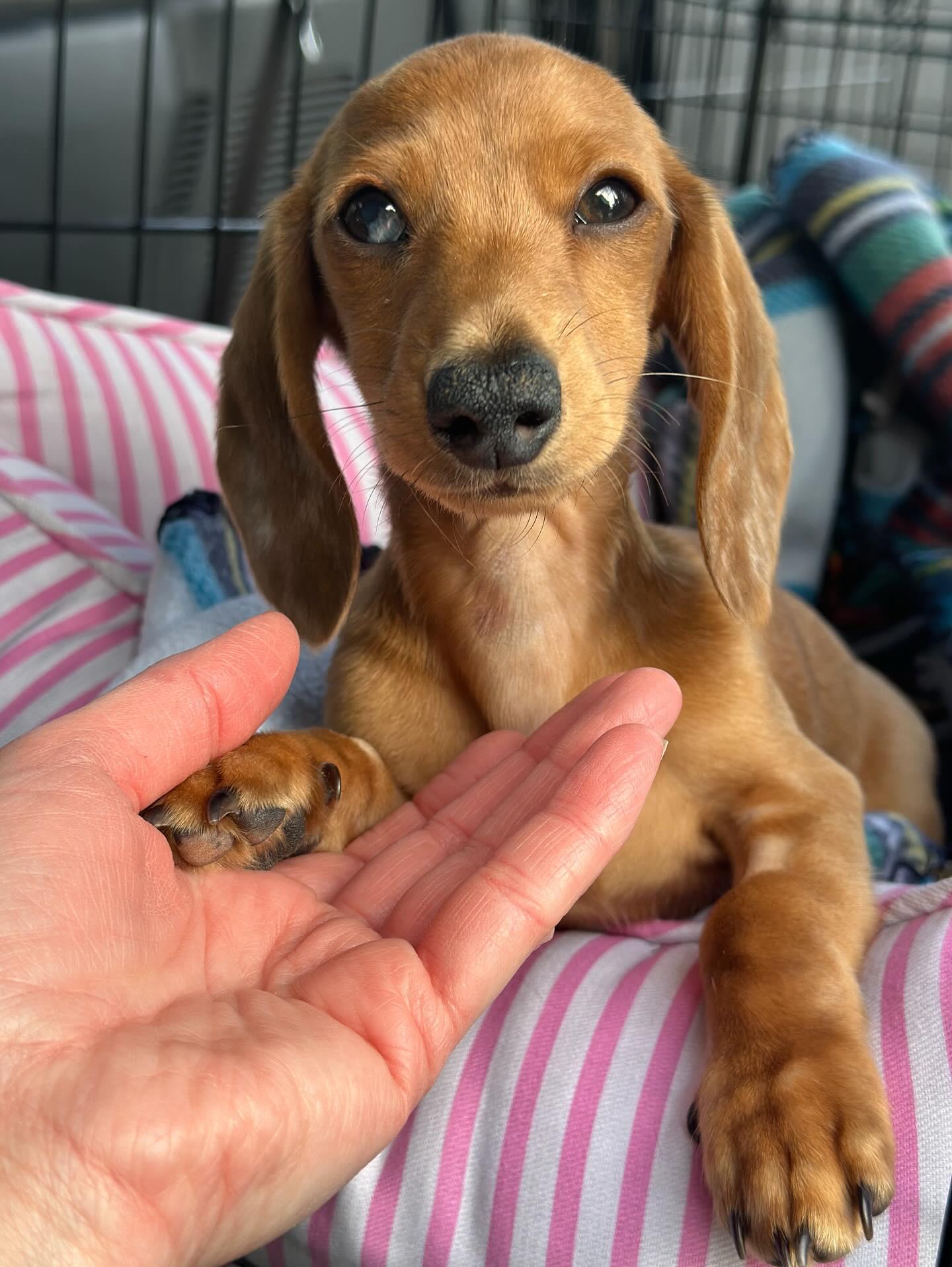 Winston