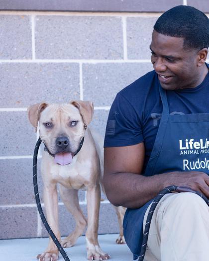 Enlarge Neal, a Adoptable mixed breed in Atlanta, GA image 1/3