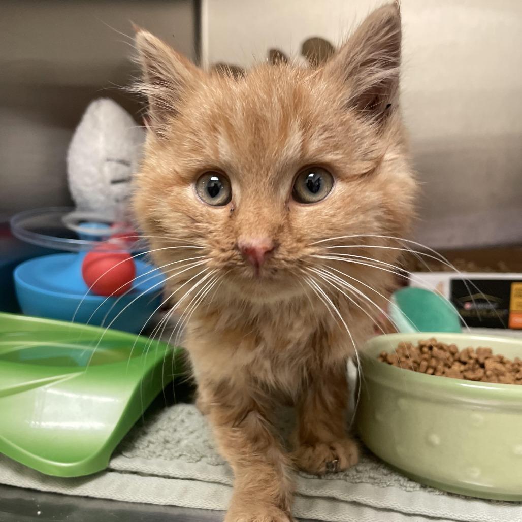 Sparkle — thumbnail 2