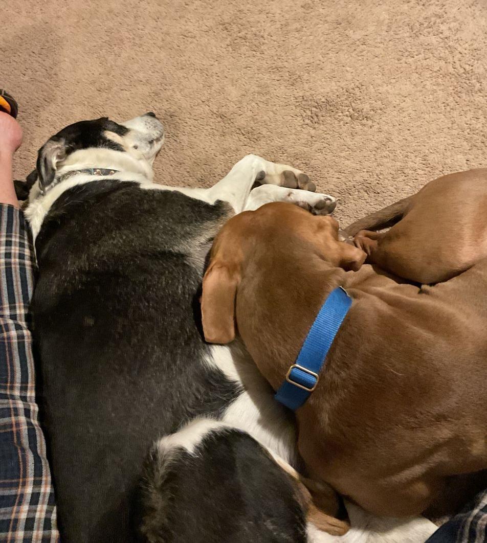 Tucker — thumbnail 5