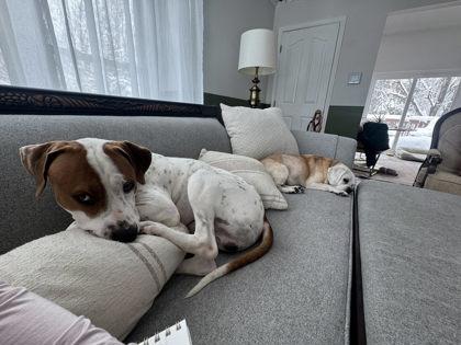 Akai — thumbnail 3