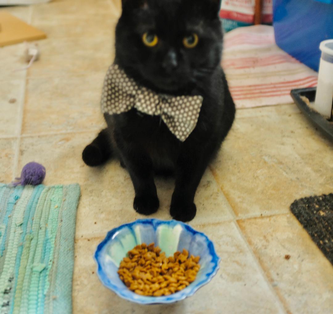 Sprocket — thumbnail 2